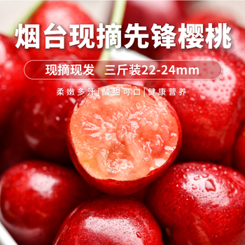 先锋樱桃(22MM-24MM)1.5KG/盒