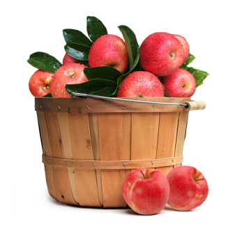 岂鲜 山东烟台红富士苹果2.5kg 单果约200-250g