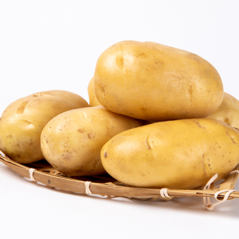 土豆10斤