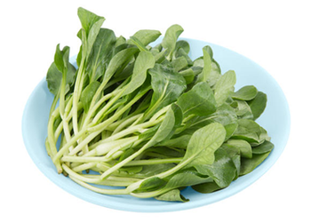鸡毛菜约500g
