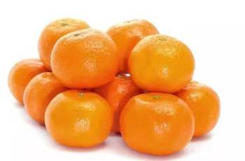蜜橘500g