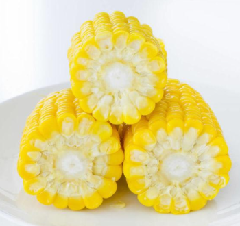 海南玉米