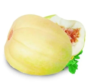 东北香瓜